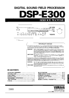 Yamaha DSPE-300 - Service Manual 